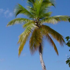 Meet your Posher, Ashleigh